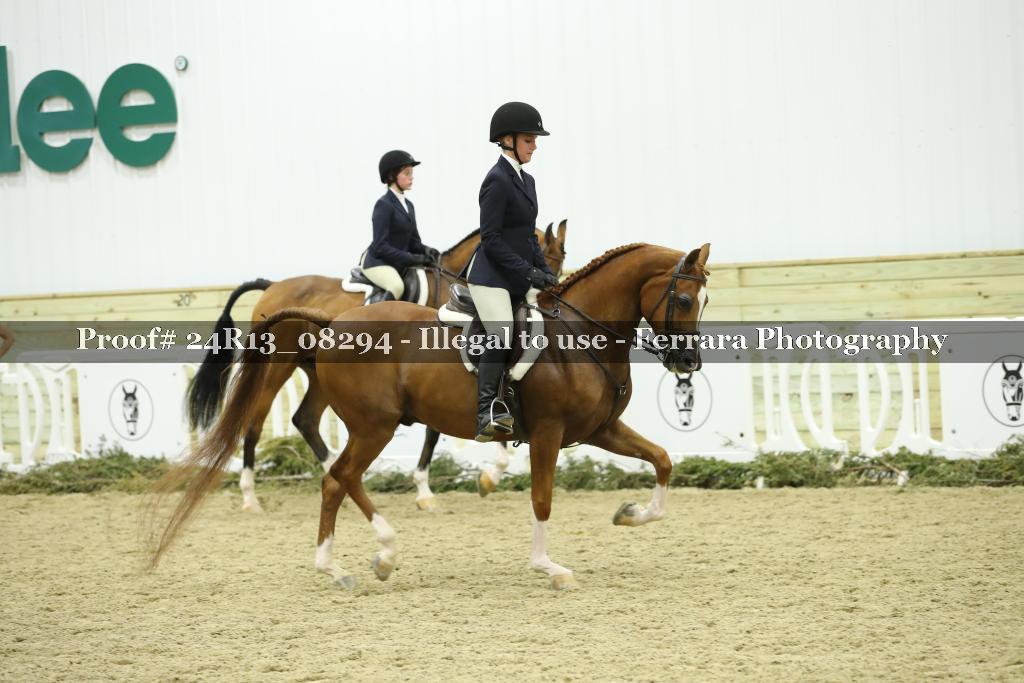 Proof 24R13_08294