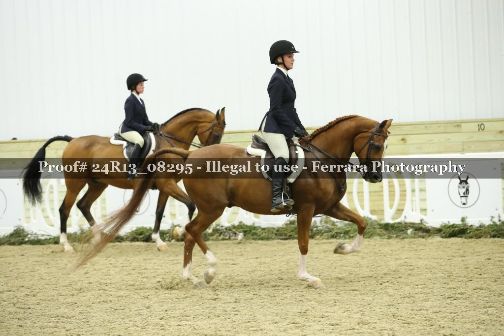 Proof 24R13_08295