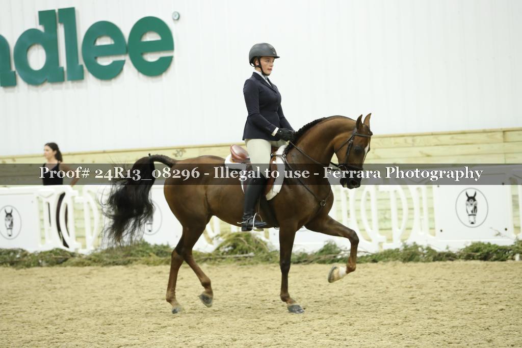 Proof 24R13_08296