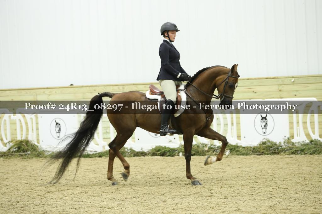 Proof 24R13_08297