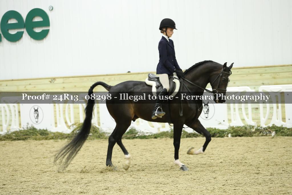 Proof 24R13_08298