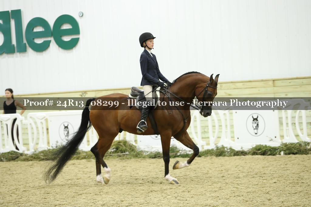 Proof 24R13_08299