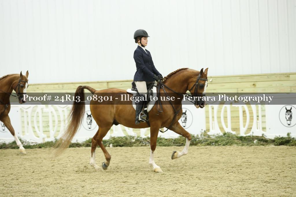 Proof 24R13_08301