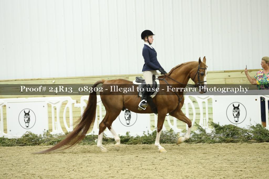 Proof 24R13_08302