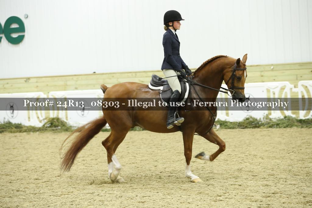 Proof 24R13_08303