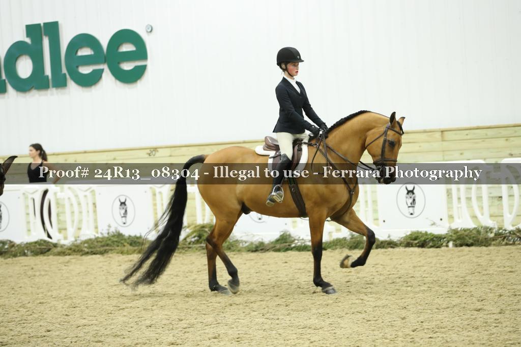 Proof 24R13_08304