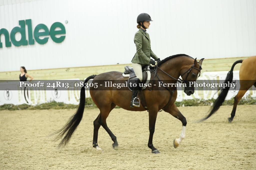 Proof 24R13_08305