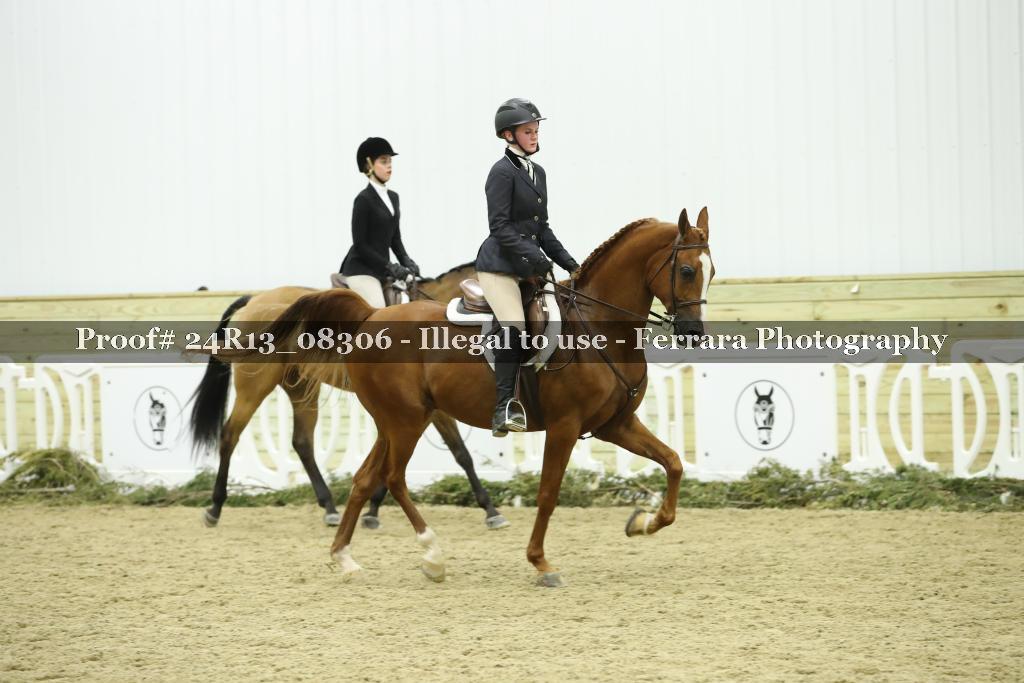 Proof 24R13_08306