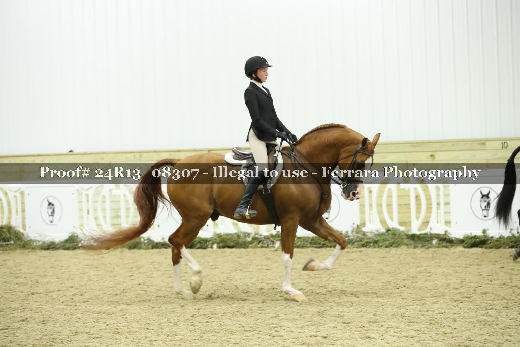Proof 24R13_08307