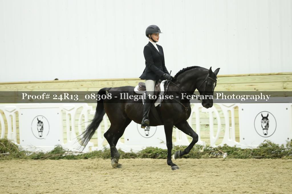 Proof 24R13_08308