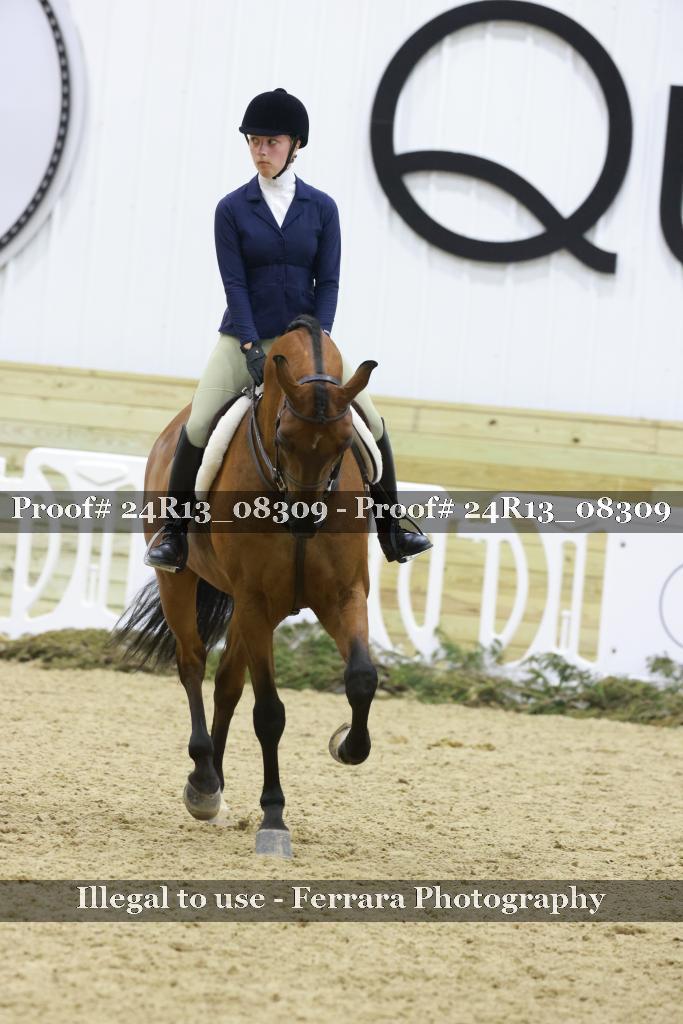 Proof 24R13_08309