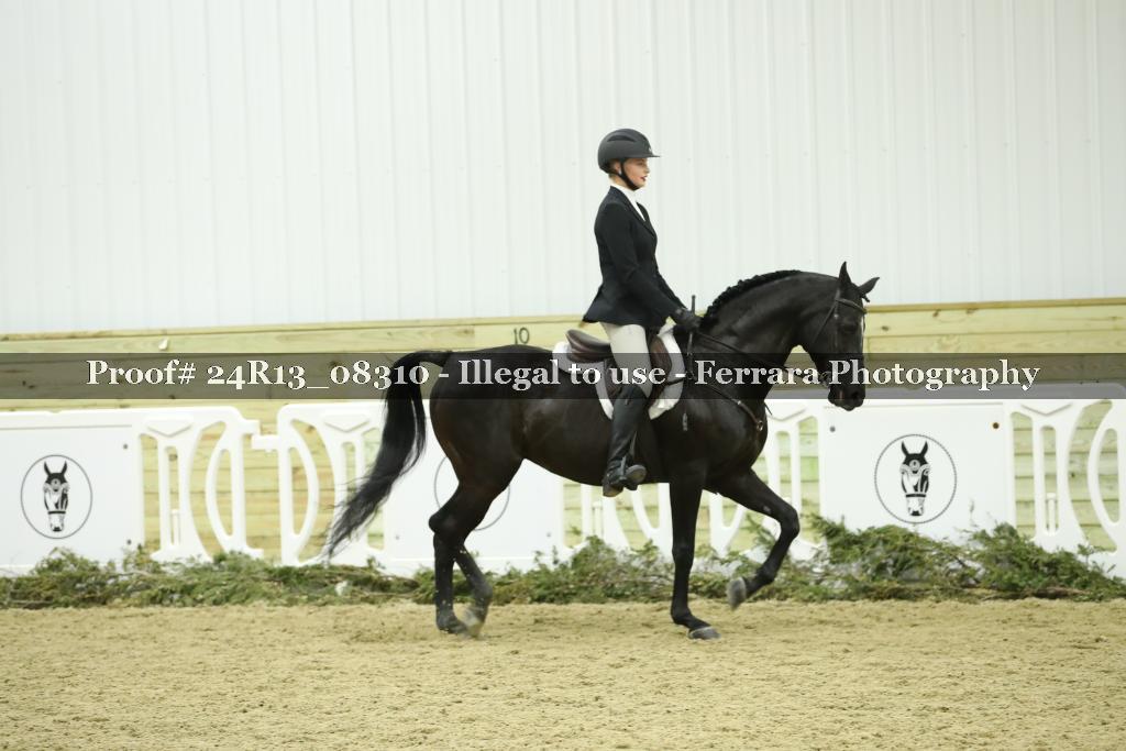 Proof 24R13_08310