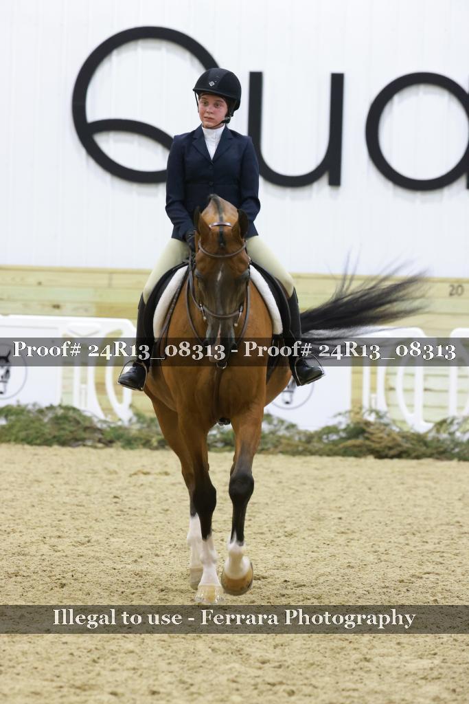 Proof 24R13_08313