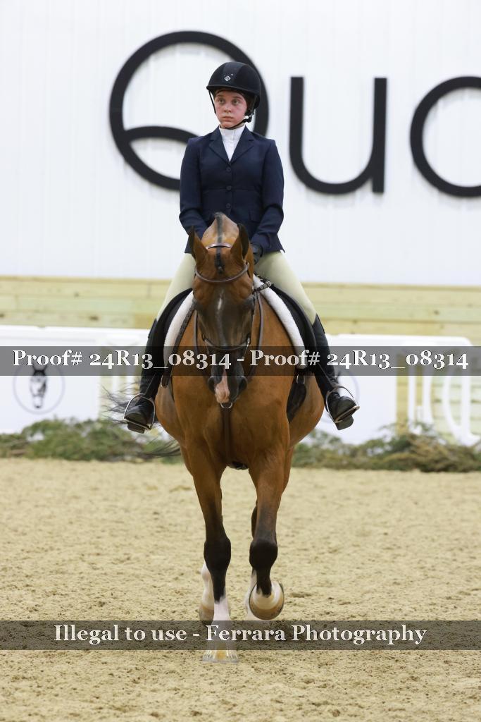 Proof 24R13_08314