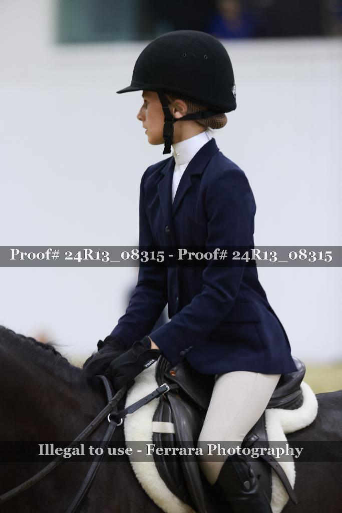 Proof 24R13_08315