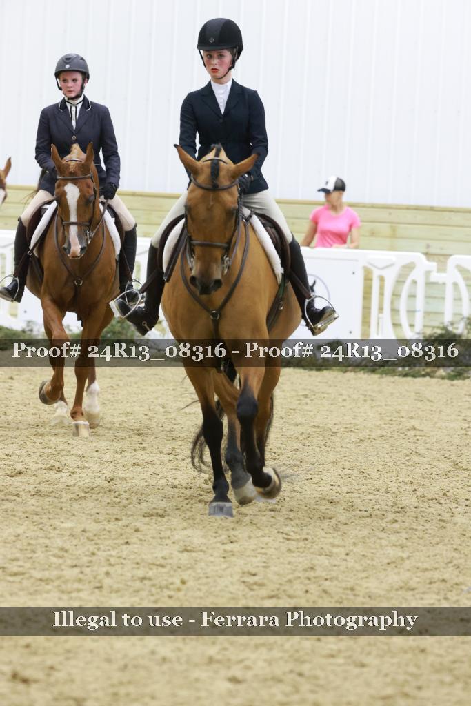 Proof 24R13_08316