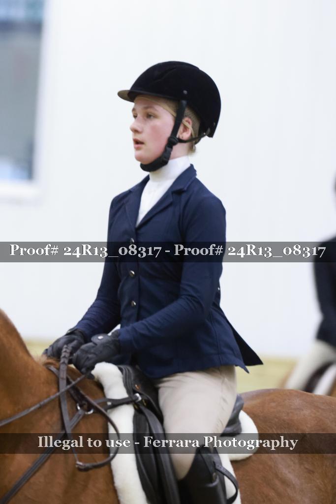 Proof 24R13_08317