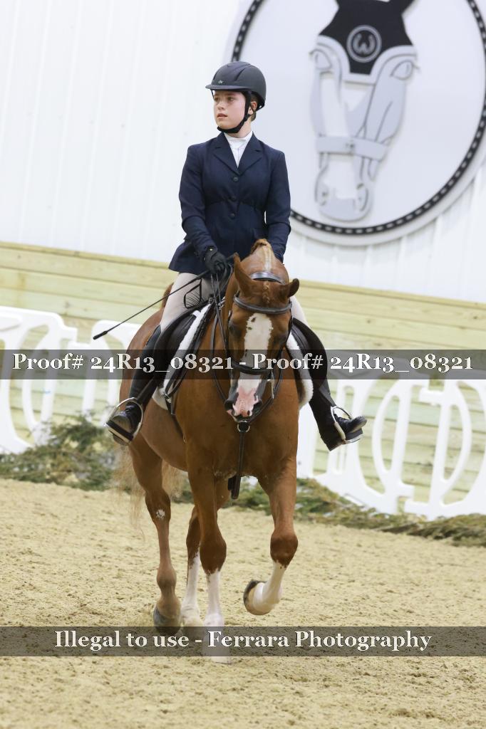 Proof 24R13_08321