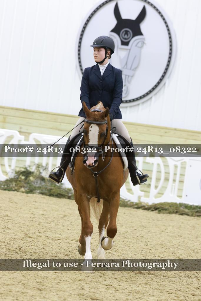 Proof 24R13_08322