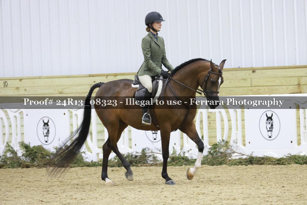 Proof 24R13_08323