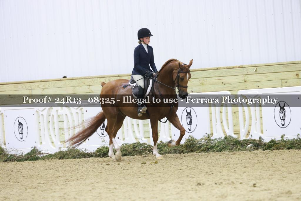 Proof 24R13_08325