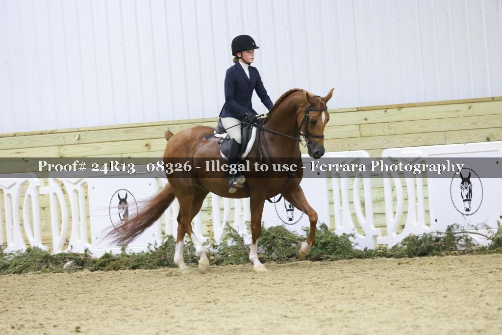 Proof 24R13_08326