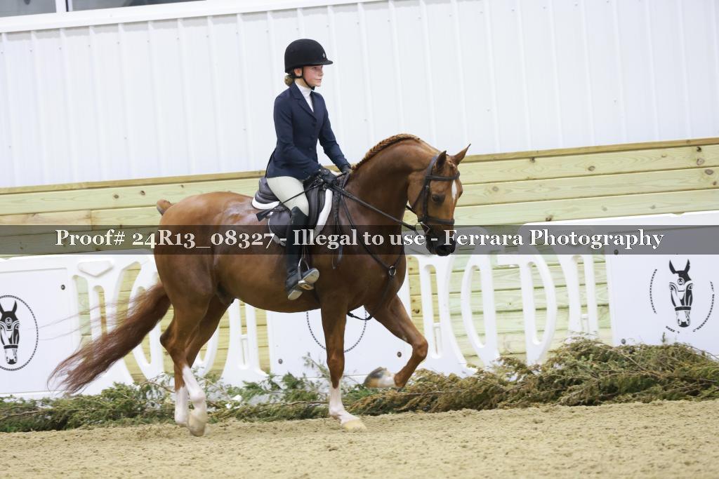 Proof 24R13_08327