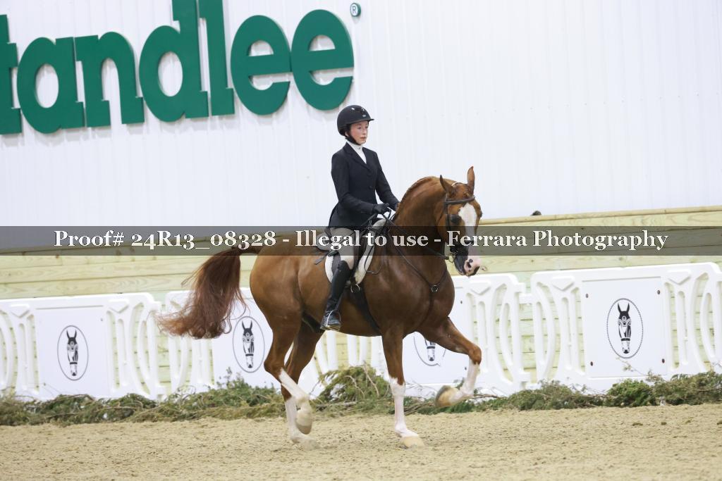 Proof 24R13_08328