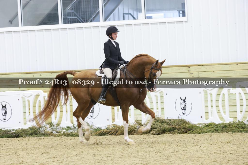 Proof 24R13_08329