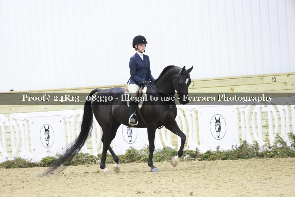 Proof 24R13_08330