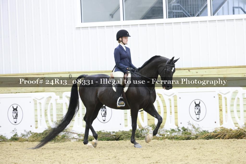 Proof 24R13_08331