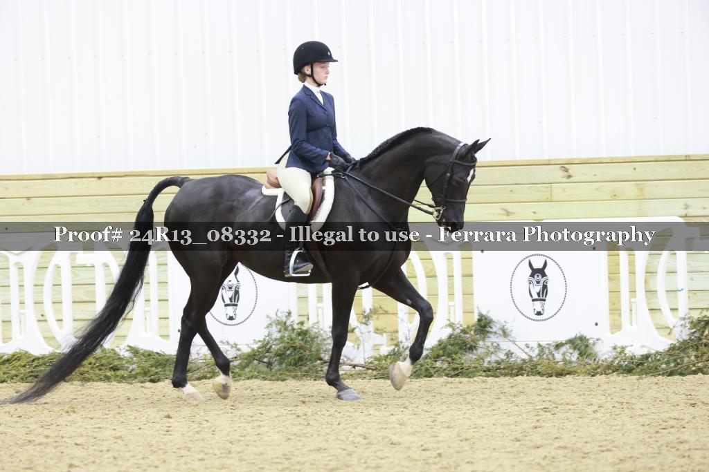 Proof 24R13_08332