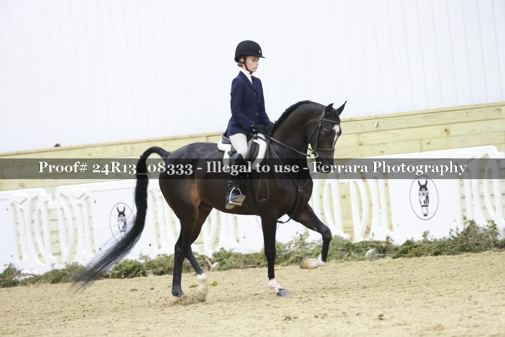 Proof 24R13_08333