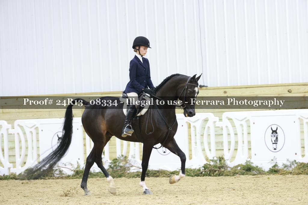 Proof 24R13_08334