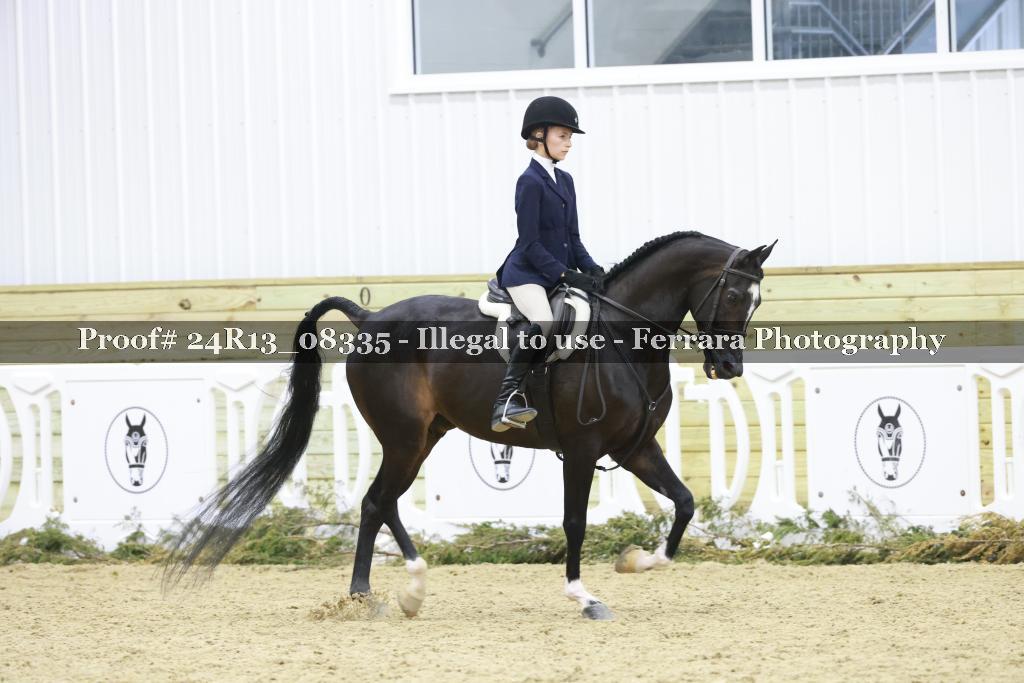 Proof 24R13_08335