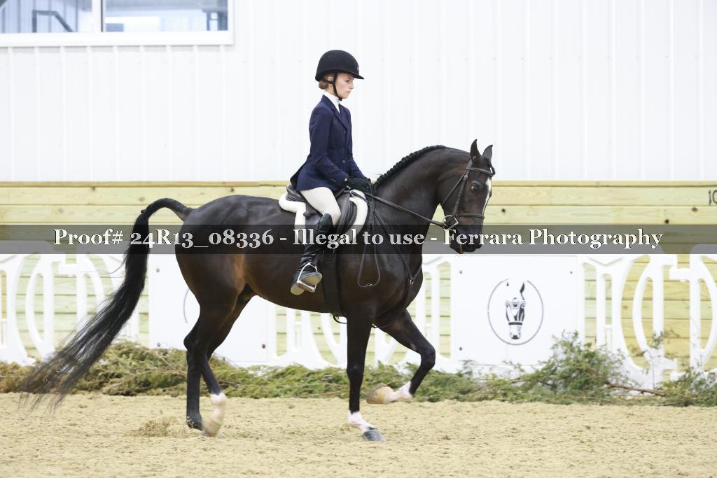 Proof 24R13_08336