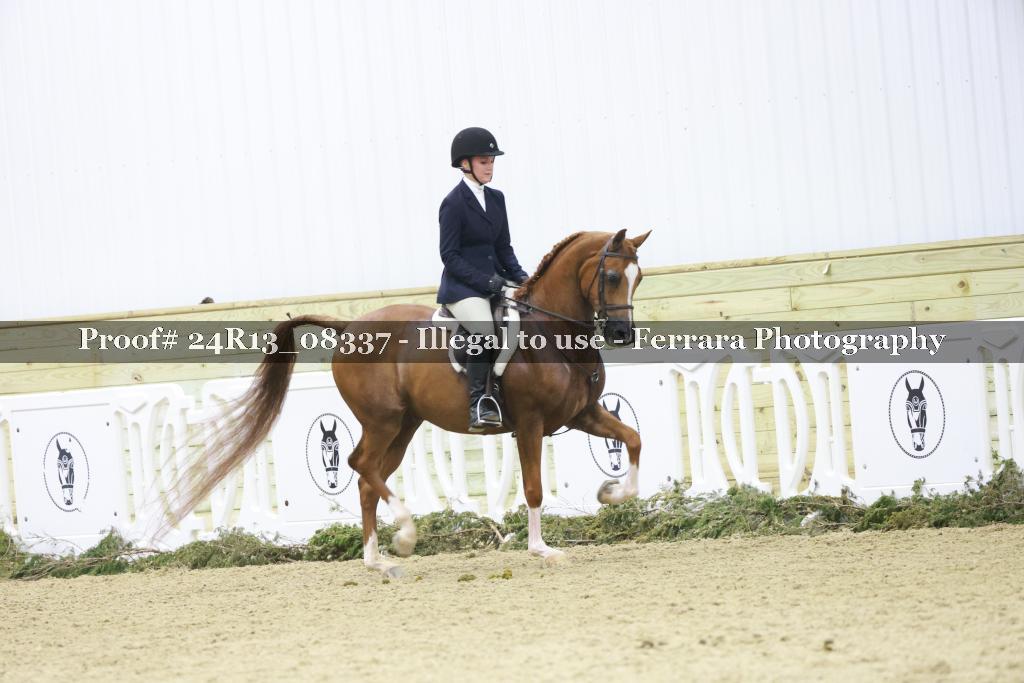 Proof 24R13_08337