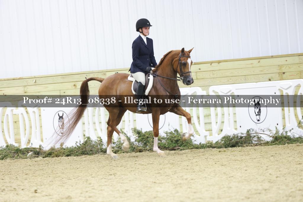 Proof 24R13_08338