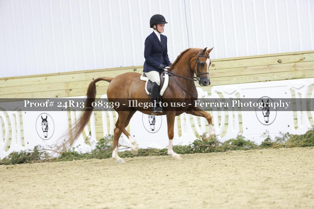 Proof 24R13_08339