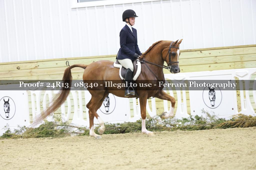 Proof 24R13_08340