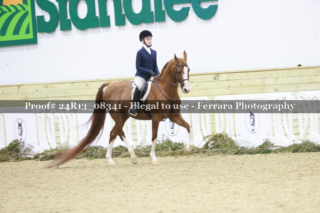 Proof 24R13_08341