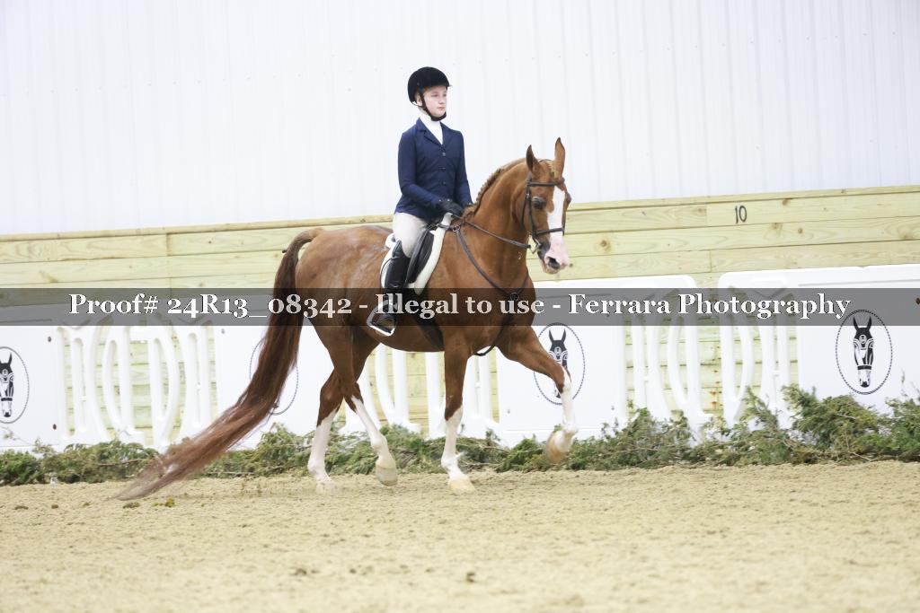 Proof 24R13_08342