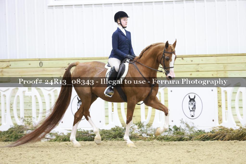 Proof 24R13_08343