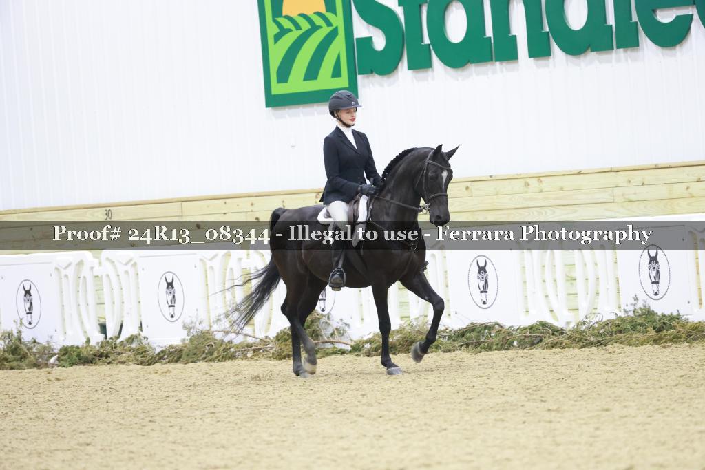 Proof 24R13_08344
