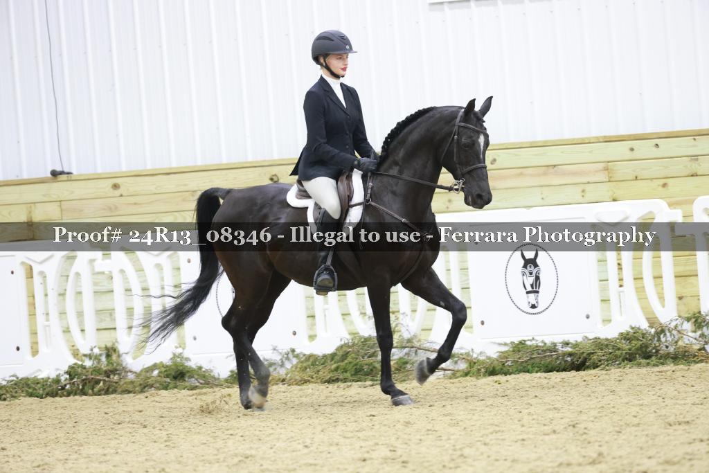 Proof 24R13_08346