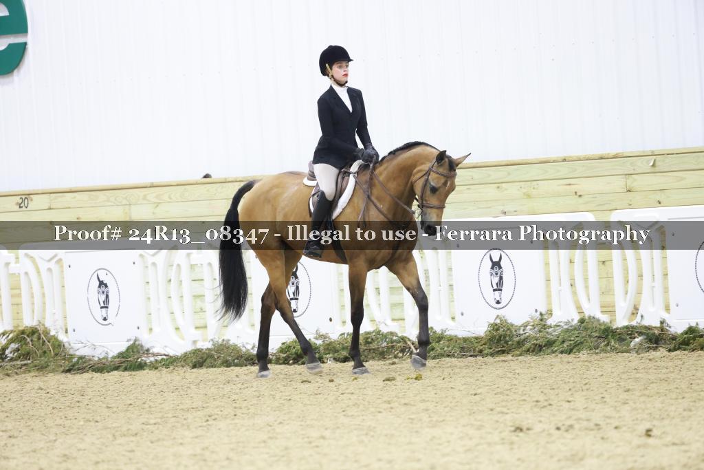 Proof 24R13_08347
