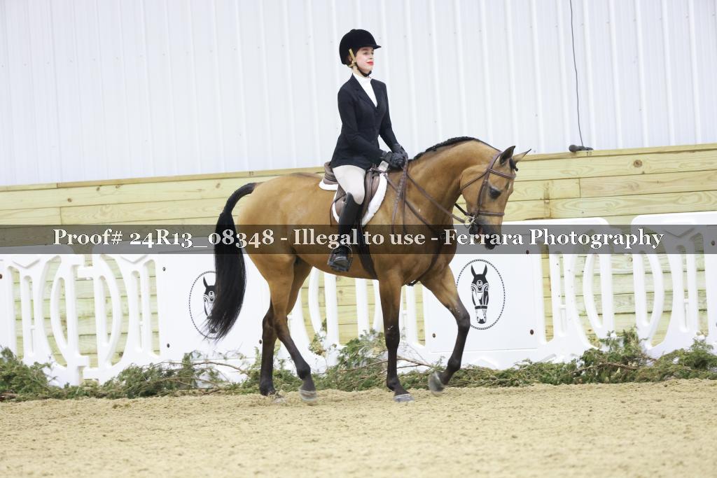 Proof 24R13_08348