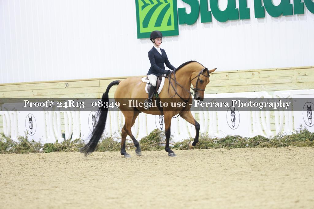 Proof 24R13_08349