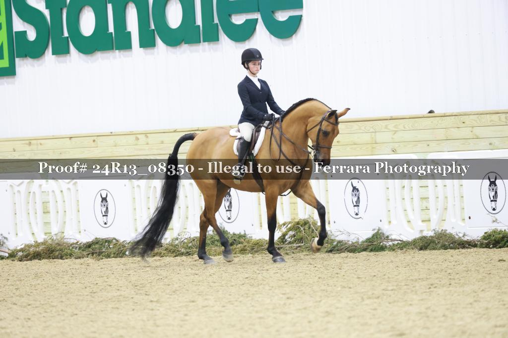 Proof 24R13_08350
