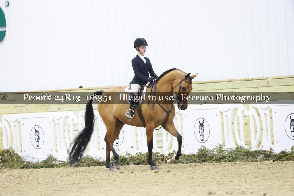 Proof 24R13_08351
